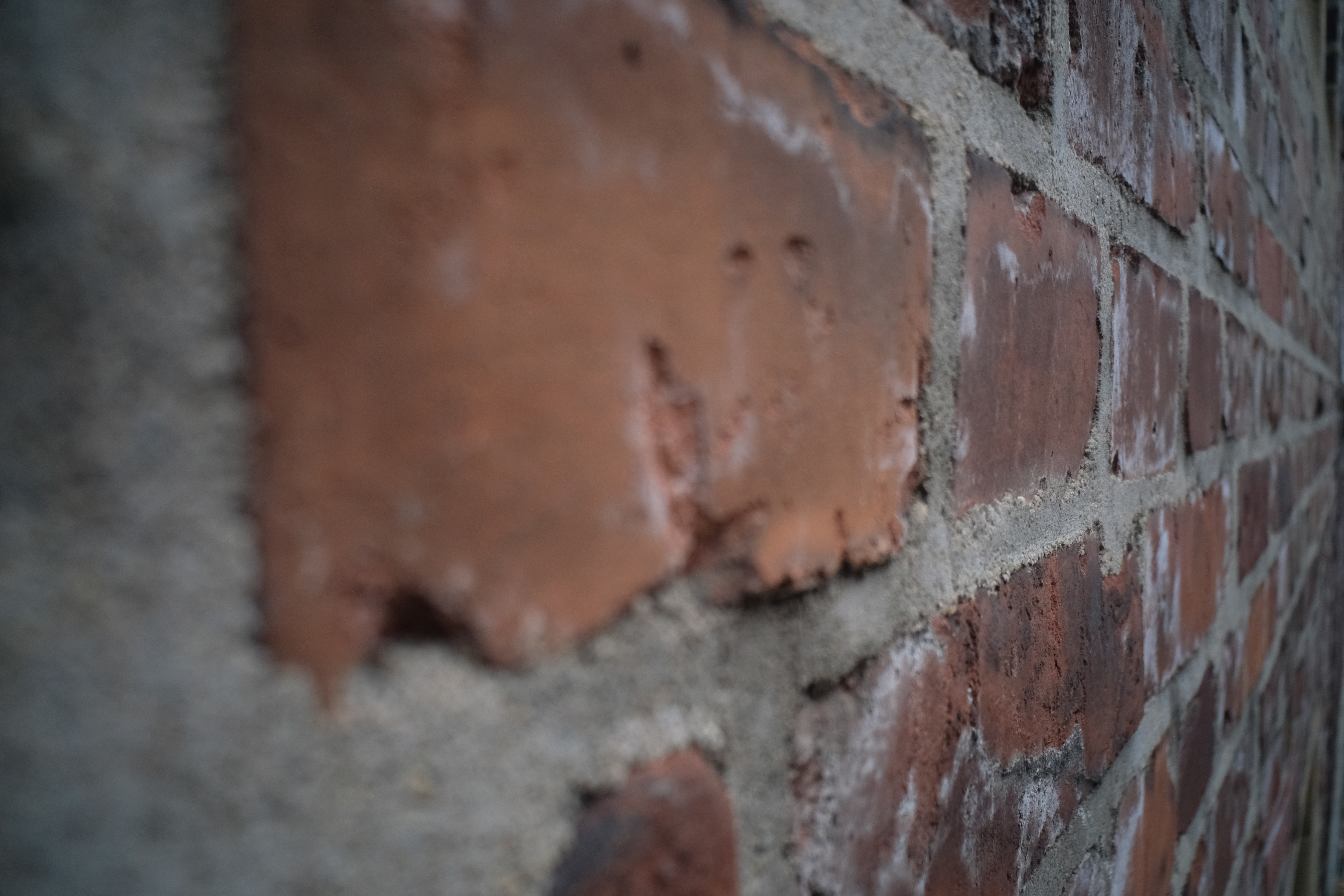 7Artisans 18mm F6.3 at 1/500, F6.3, ISO 800